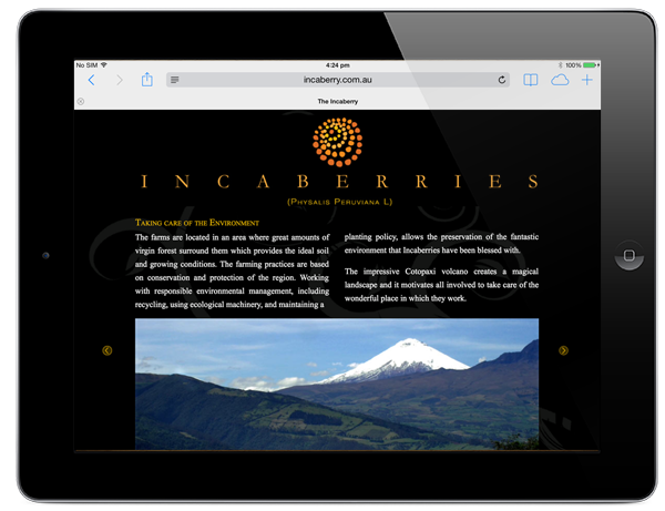 incaberry ipad